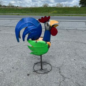 24" Rooster - 30